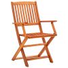 vidaXL Folding Patio Chairs 2 pcs Solid Eucalyptus Wood