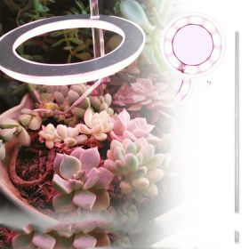 Full-spectrum LED Imitating Sun  Coloring Plant Succulent Fill Light Lamp (Option: White light single head-USB)