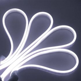 Neon LED Light (Color: White, size: 1 M / 3.3 FT)