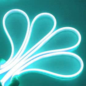 Neon LED Light (Color: Ice Blue, size: 5 M / 16.5 FT)