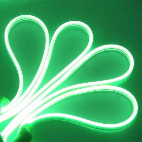 Neon LED Light (Color: Green, size: 5 M / 16.5 FT)