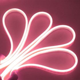 Neon LED Light (Color: Pink, size: 5 M / 16.5 FT)