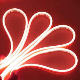 Neon LED Light (Color: Red, size: 5 M / 16.5 FT)