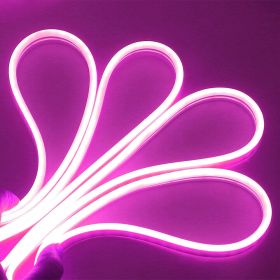 Neon LED Light (Color: Purple, size: 5 M / 16.5 FT)