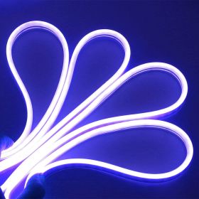 Neon LED Light (Color: Blue, size: 5 M / 16.5 FT)